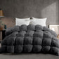 Arden Alpine All-Season Goose Down Feather Comforter