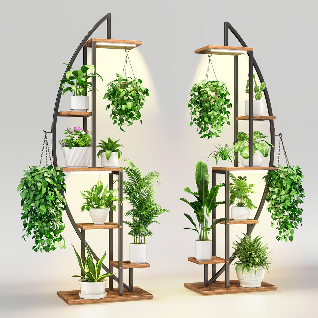 Wooden plant shelves with various potted plants on a plain background